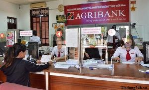 Agribank hiện đang sở hữu mạng lưới 2.233 chi nhánh và phòng giao dịch rộng khắp toàn quốc