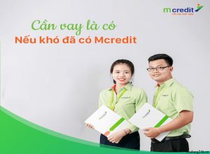 MCredit hoạt động chủ yếu trong lĩnh vực tiêu dùng