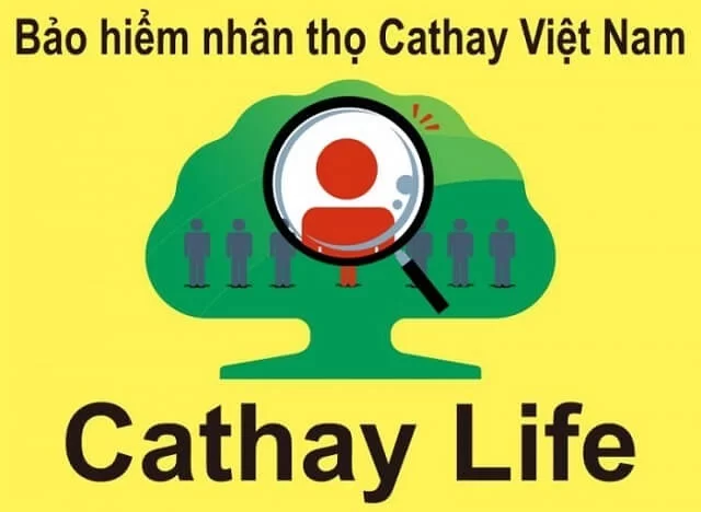 Thông Tin Về Bảo Hiểm Cathay Life