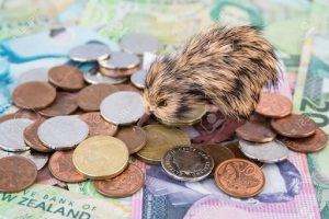 1 Đô La New Zealand Bằng Bao Nhiêu Tiền Việt Nam? 1 NZD = VND 2022