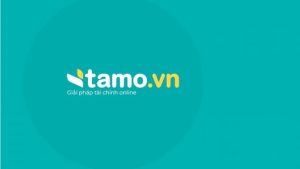 Giới Thiệu Về Đơn Vị Tamo