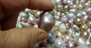 Giới Thiệu Về Ngọc Trai