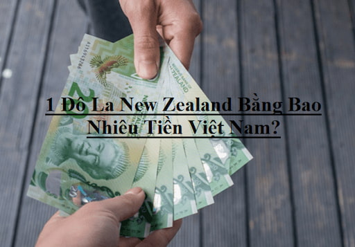 1 Đô La New Zealand Bằng Bao Nhiêu Tiền Việt Nam 2022? 1 NZD = VND