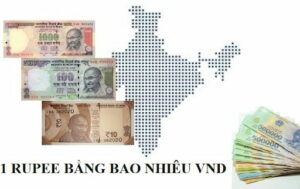 Tỷ Giá 1 Rupee Ấn Độ (INR) Bằng Bao Nhiêu Tiền Việt Nam (VND) Hôm Nay